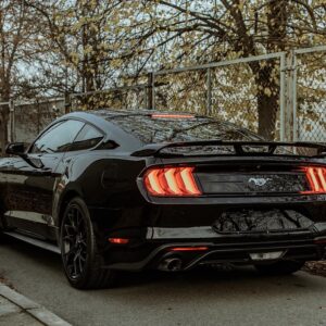 8D9A0AFF-54A6-4502-87F5-3E7BCBE9CDF0